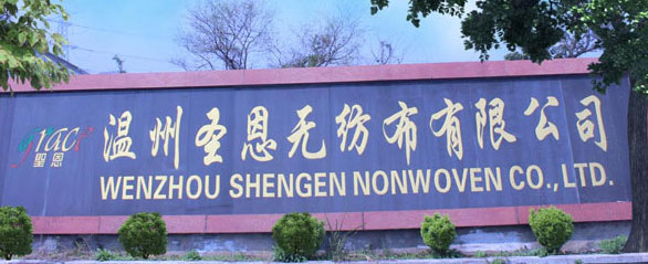 Professional nonwovenfabric and nonwoven product
