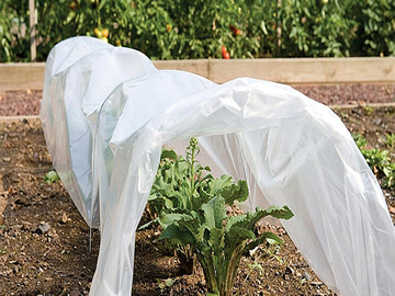 Nonwoven Frost Cover, Plant Protection Fabric